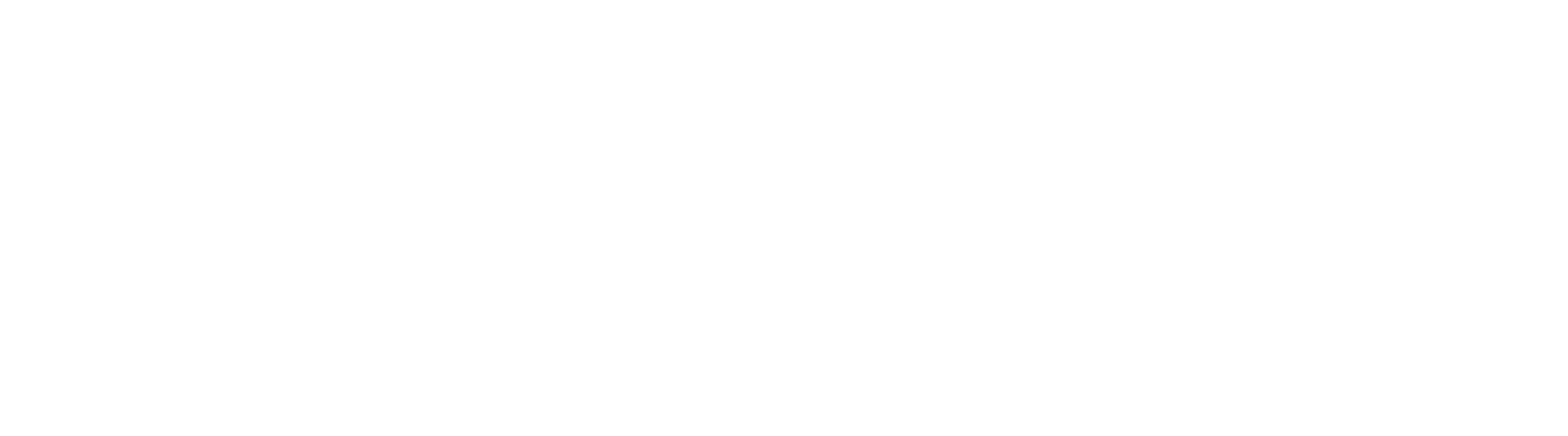 Steev